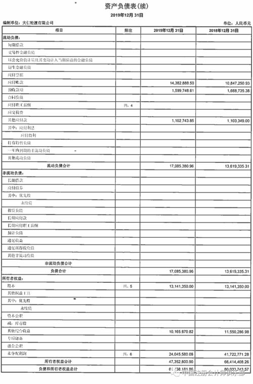 罕見(jiàn) 信永中和出具了一份 2019年度審計(jì)報(bào)告 的審核說(shuō)明