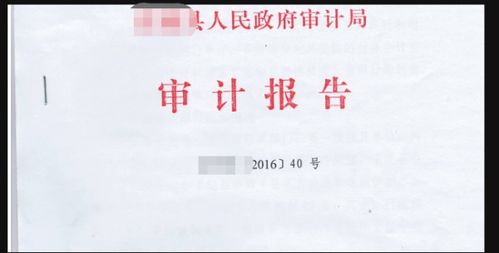 什么情況下需要出具審計(jì)報(bào)告