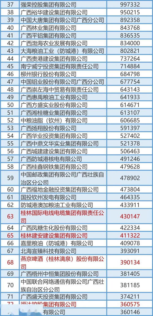 剛剛公布 桂林最有錢企業名單流出